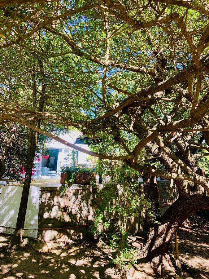 The Little Hideaway Guesthouse Stellenbosch Exterior foto
