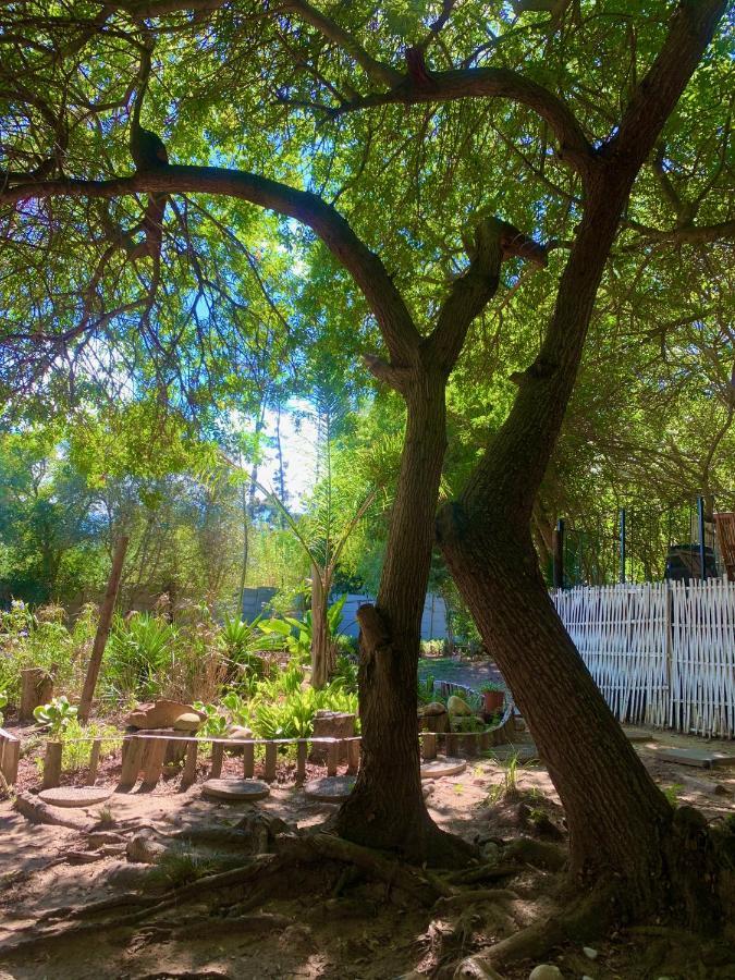 The Little Hideaway Guesthouse Stellenbosch Exterior foto