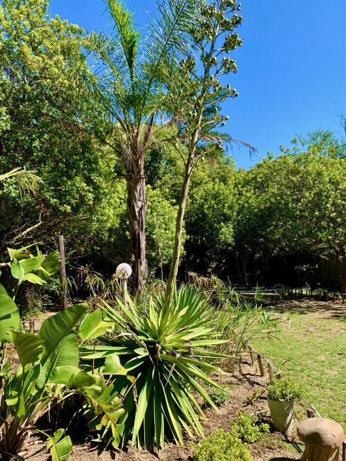 The Little Hideaway Guesthouse Stellenbosch Exterior foto